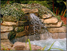 Spa Nature 1